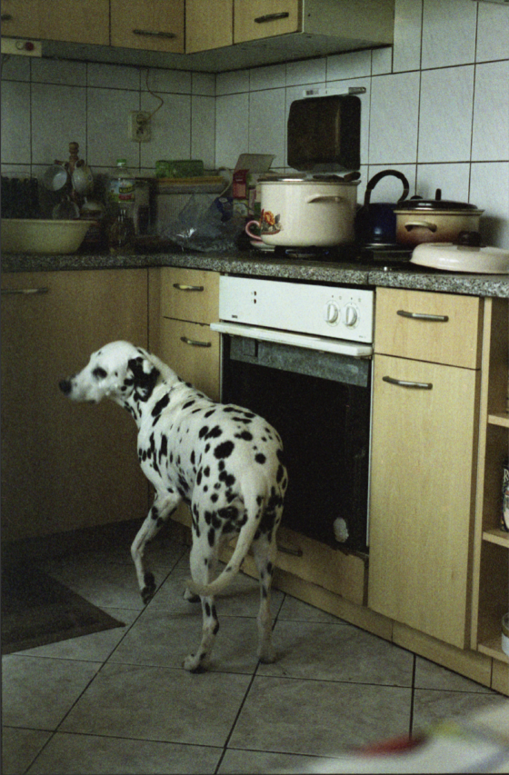 Kaja in grootouders keuken (20x30 cm print)